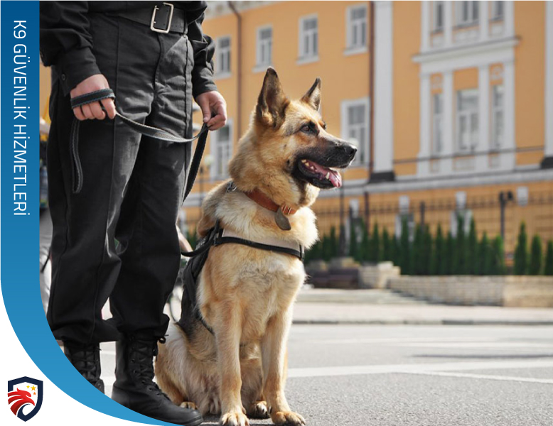 K9 Güvenlik Hizmetleri 