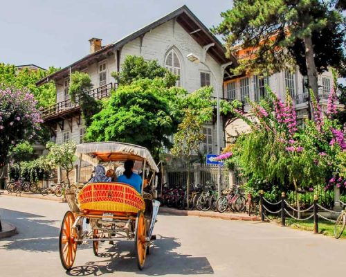 Adalar Güvenlik Şirketleri