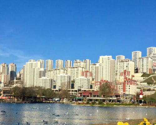 Başakşehir Güvenlik Şirketleri